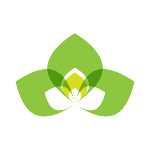 Austin-anisimova.com